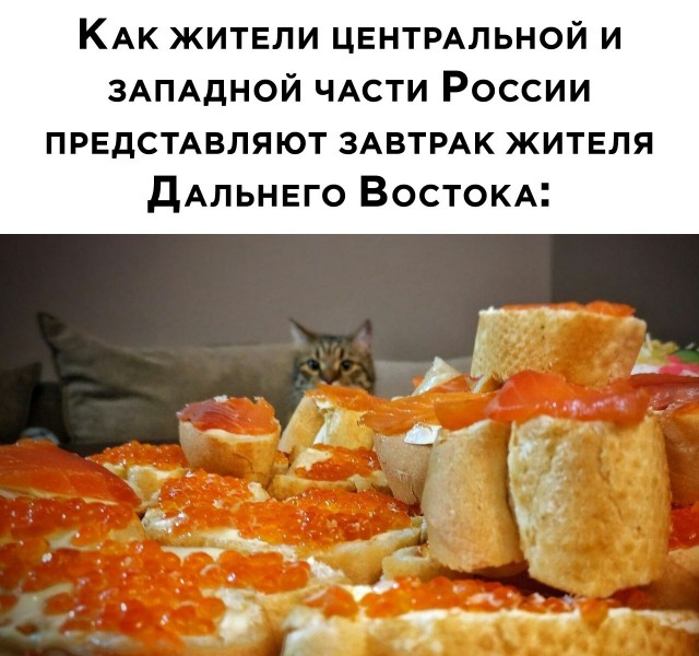 Весёлый полтишок 5.03
