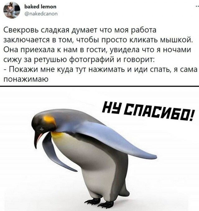Картинки и мемы для настроения 11.08.2021