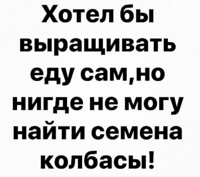 Весёлый полтишок 29.10
