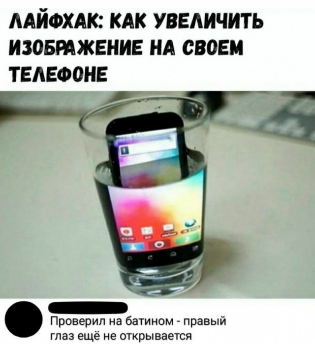 Весёлый полтишок 27.12