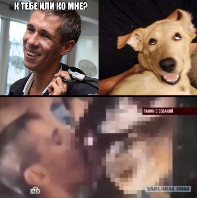 Панин удивляется, куда мир катится