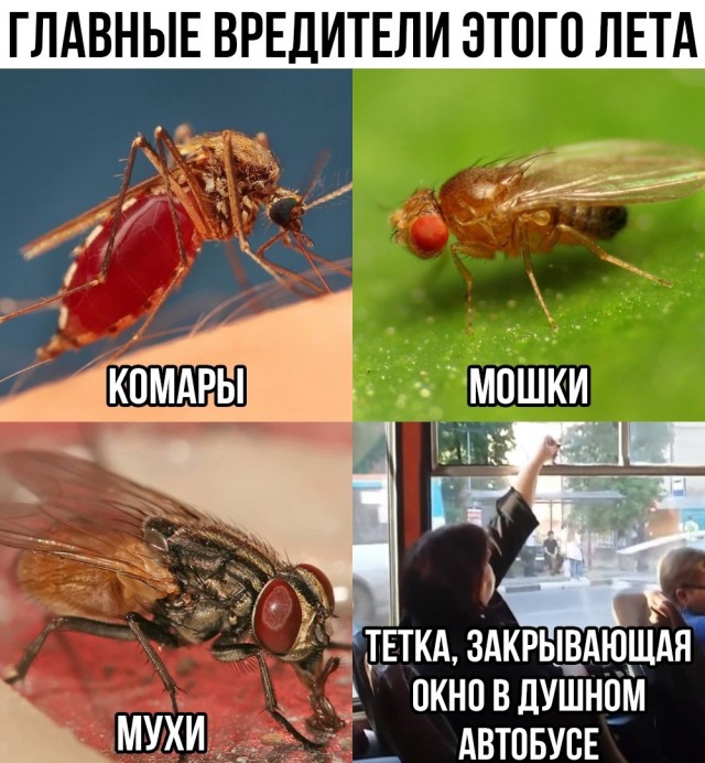 Так себе картинки 18.06.22