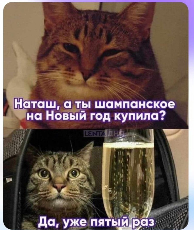 К Наде набежали женихи