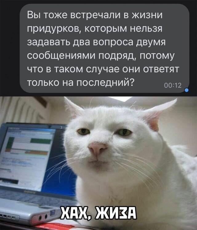 Весёлый полтишок 12.03.23