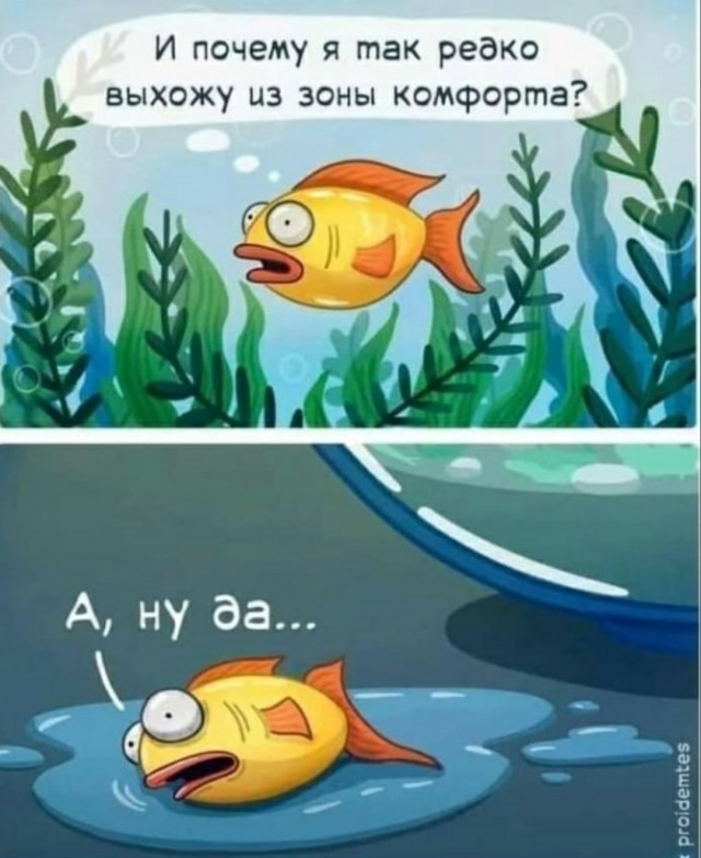 Нуштош 06.04.2023