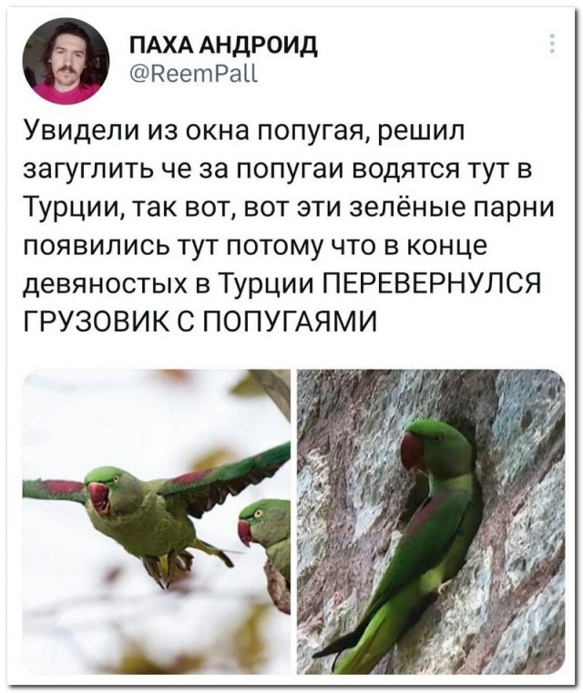 Забавные комментарии из социальных сетей (10.04.23)