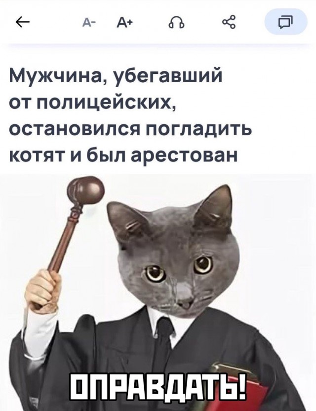 Так себе картинки 01.08.23