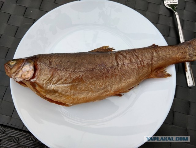 Кулинарная общалка