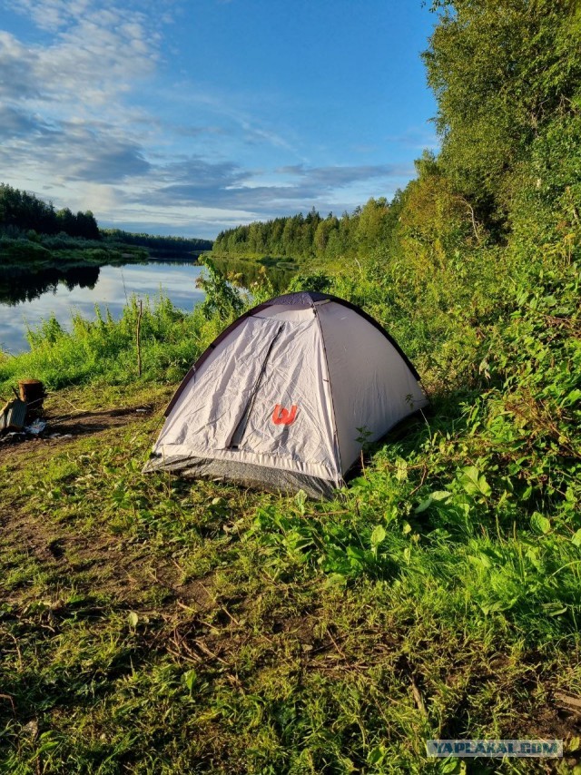 Рыбалка на Мологе