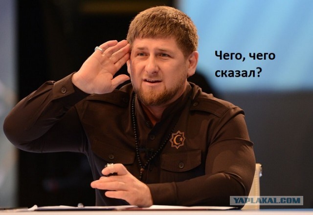 Кадыров купил командирам силовых структур республики иностранные внедорожники, несмотря на указание Владимира Путина пересаживать чиновников на отечественные авто.