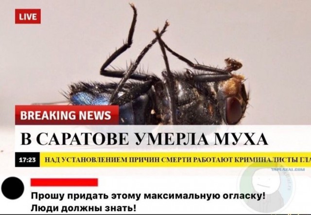 Пассажиры поезда Москва-Нижний Новгород не могли попасть в свой вагон из-за замерзшей двери
