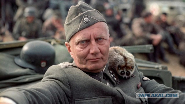 7 военных фильмов, названные самыми правдоподобными кинолентами
