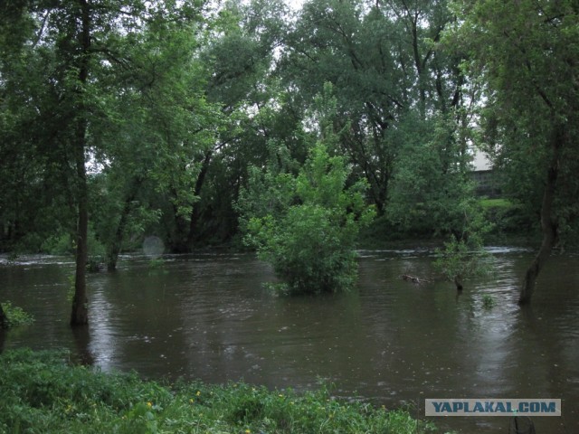 Рыбалка в ближайшем подмосковье