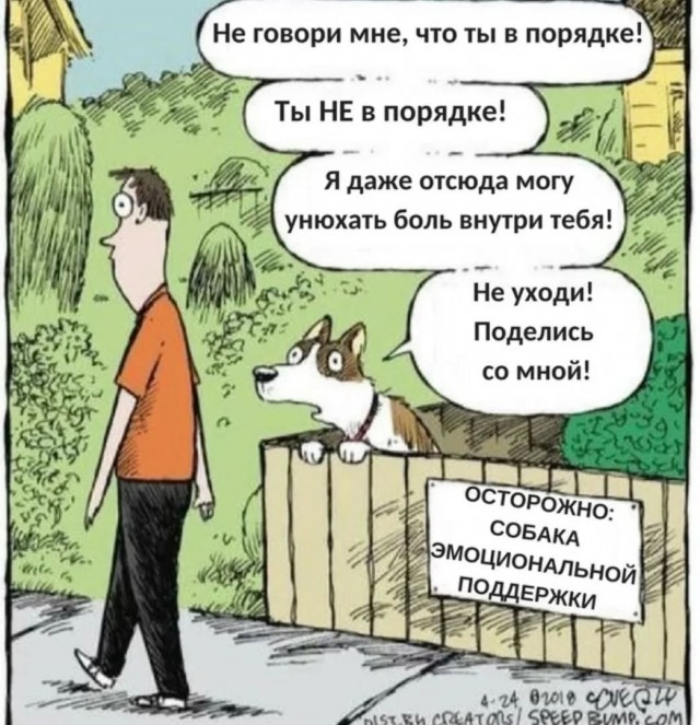Завалялось тут случайно немного забавных картинок