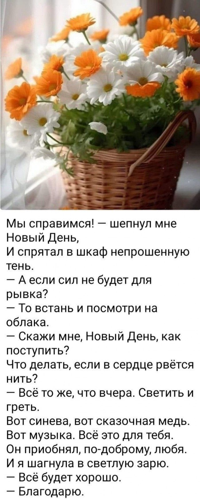 Прикольные и просто красивые картинки 07.02.2025