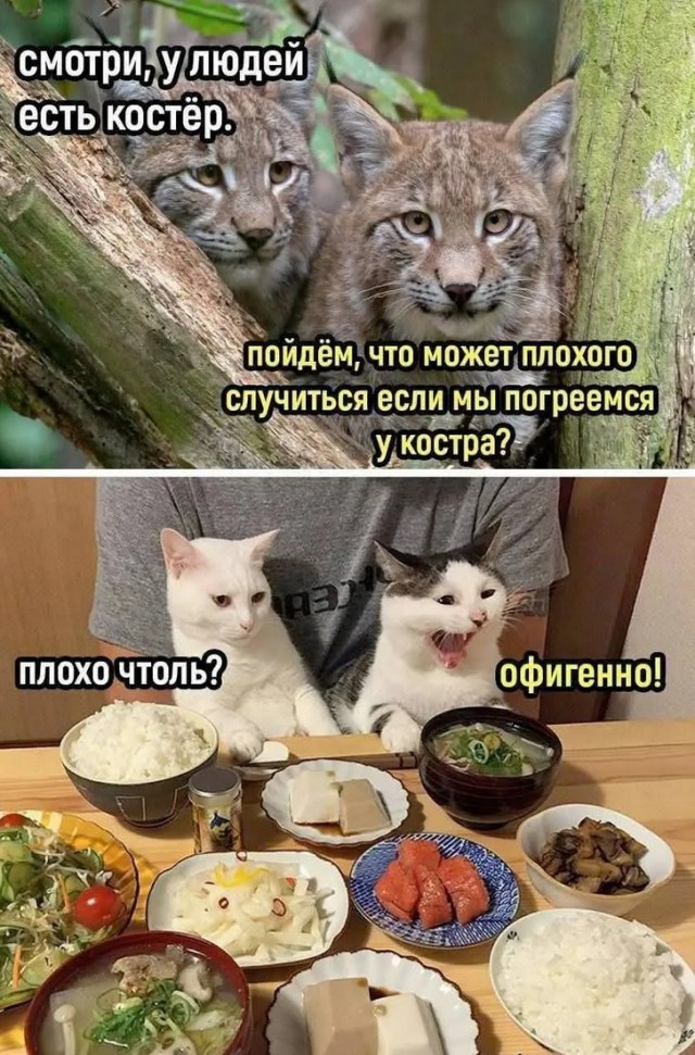 Завалялось тут случайно немного забавных картинок