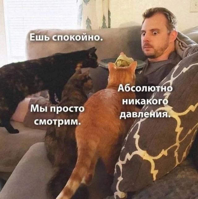 Так себе картинки 29.04.25