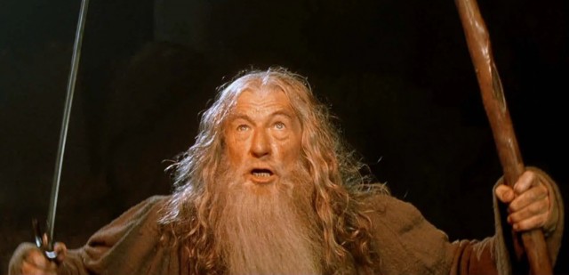 История одного забора