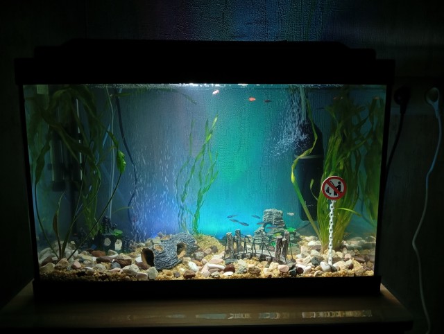 Несколько фоток последних дней.