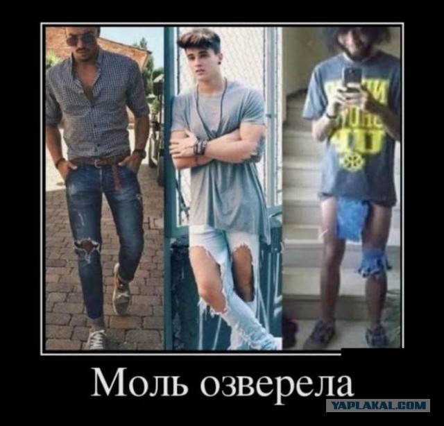 Среды картинки