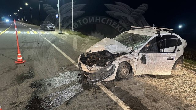 Что она хотела исполнить?