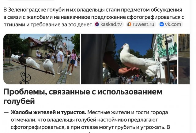Осторожно, голуби!