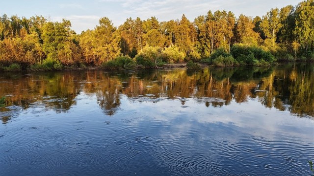 Одно фото