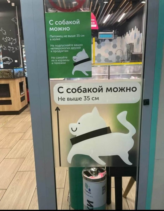 В «Магните» женщину заставили мыть полы за своим псом