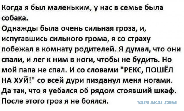 Смешные картинки