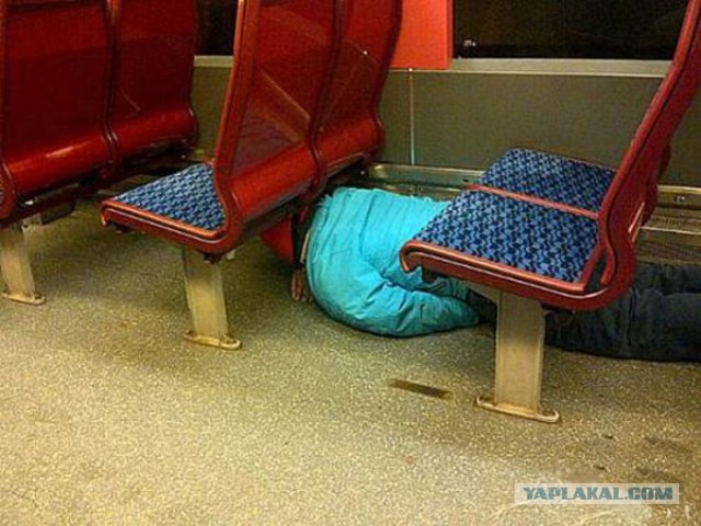 Кого только не встретишь в общественном транспорте