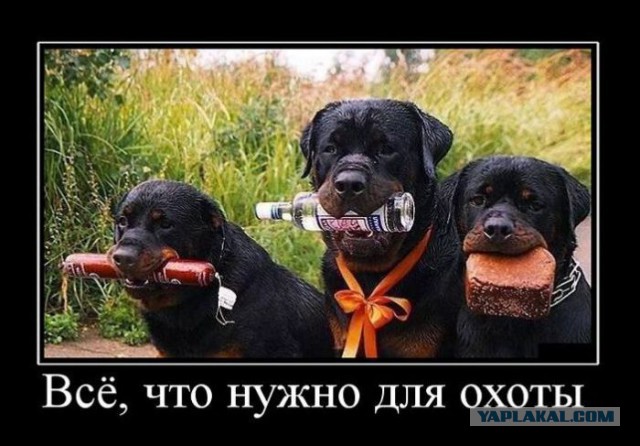 Весна, охота...