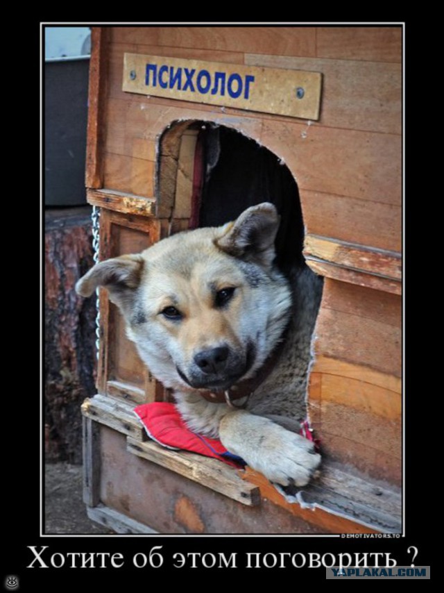 Картинки разные