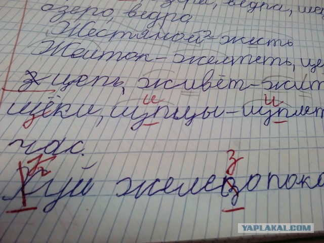 Подборка не наших рукожопов и т.п.