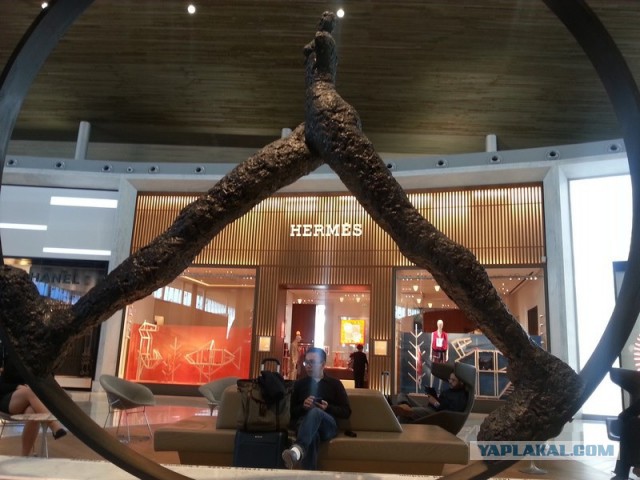 Отчет о путешествии в  Перу