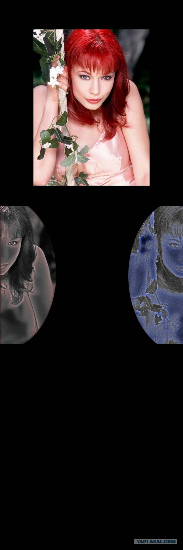 Такой разный Харрисон Форд