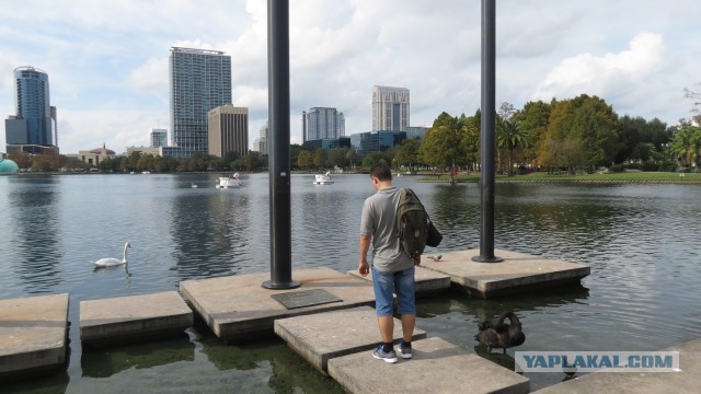 Флорида.Орландо.