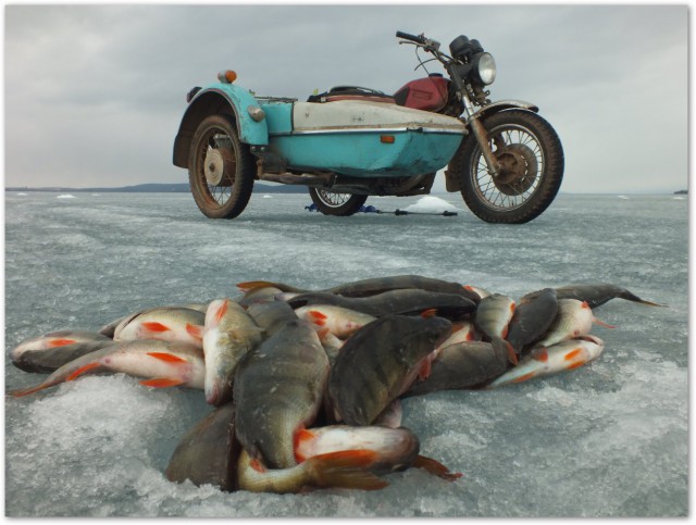 Мотоциклы в деревне