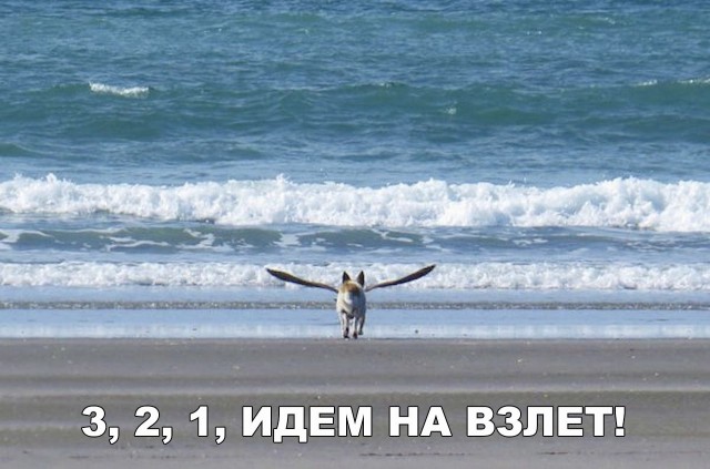 Нестандартный юмор