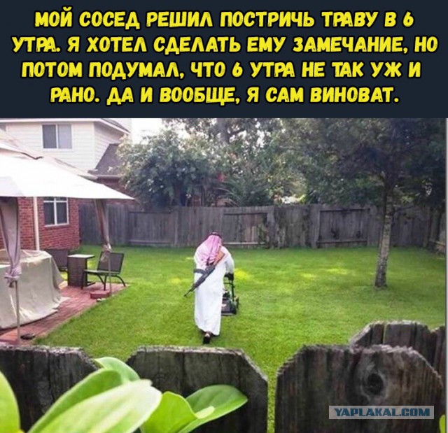 Нестандартный юмор
