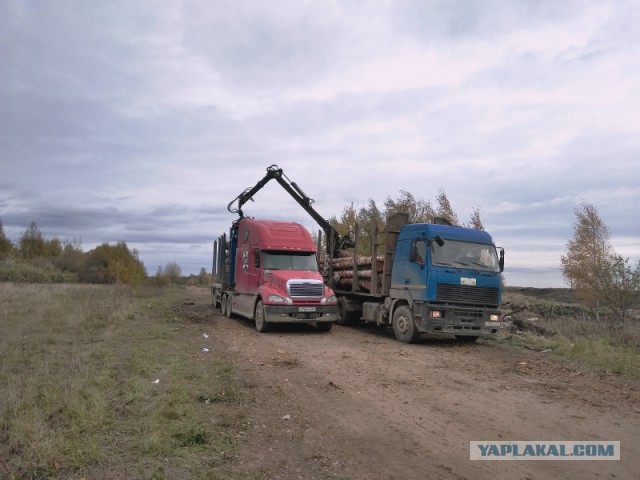 Лёд тронулся, господа присяжные, лёд тронулся.  О дороге и школьном автобусе (продолжение).