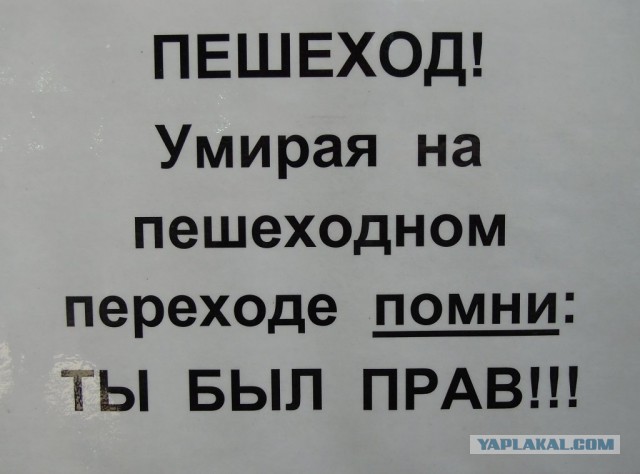 "Мисс Калифорния" сбили насмерть, когда она снимала неудобные туфли... посреди дороги