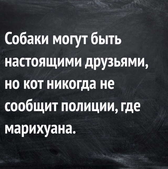 Еще немного картинок разных из интернета