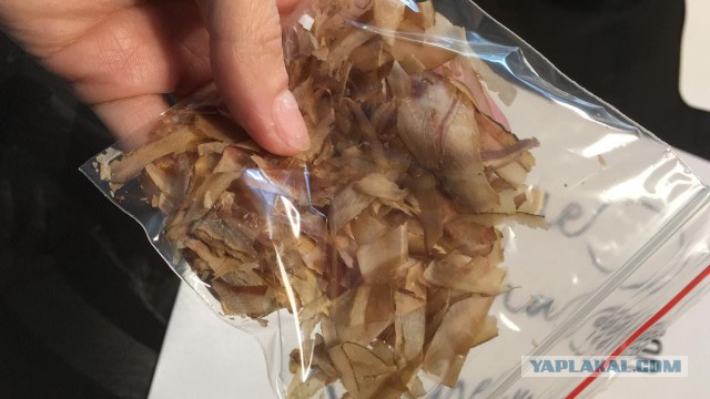 23 февраля. Прием заказов.