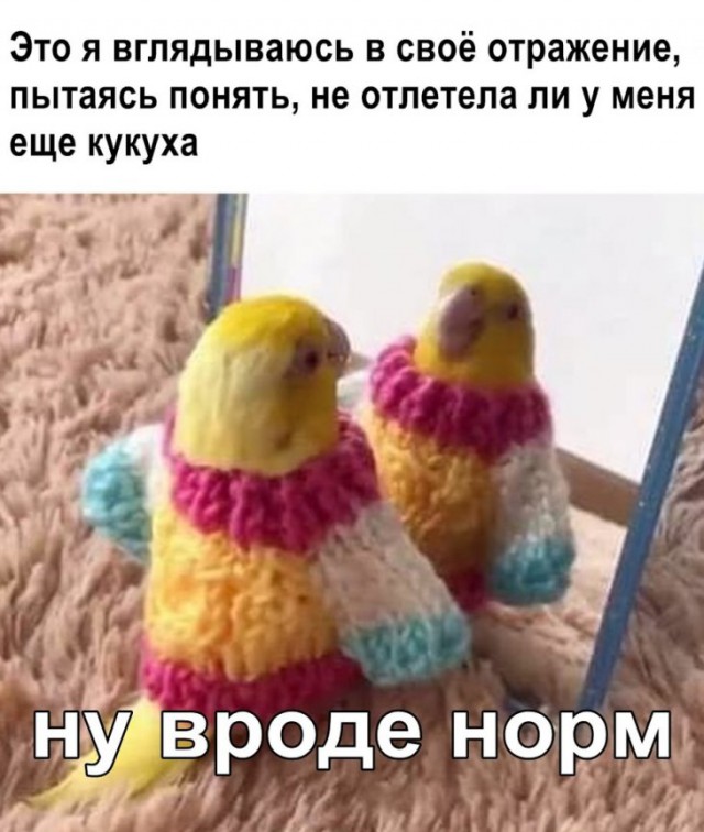 Немного картинок для настроения