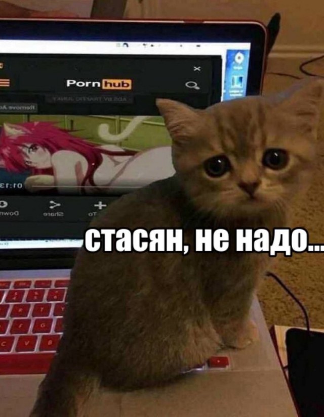 Бредзона 24.12.2019