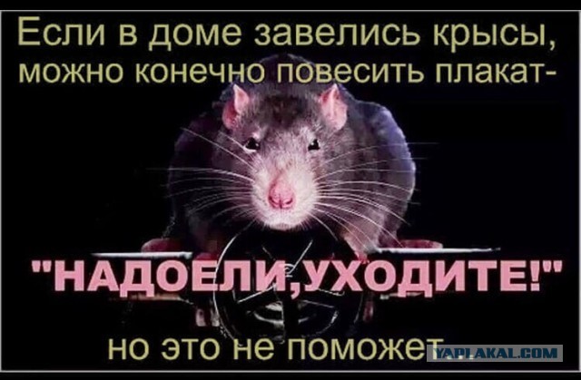 Очередной обман? В ЦБ сообщили подробности новой схемы пенсионных выплат