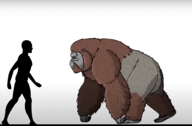 Какого размера были доисторические существа: устрашающие сравнения 20 вымерших животных с человеком