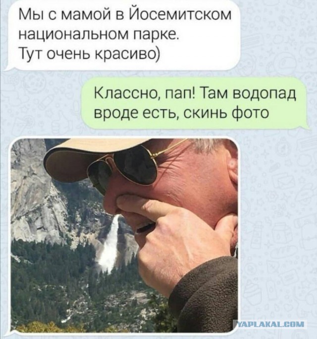 Картинки из рабочего чата 24.10