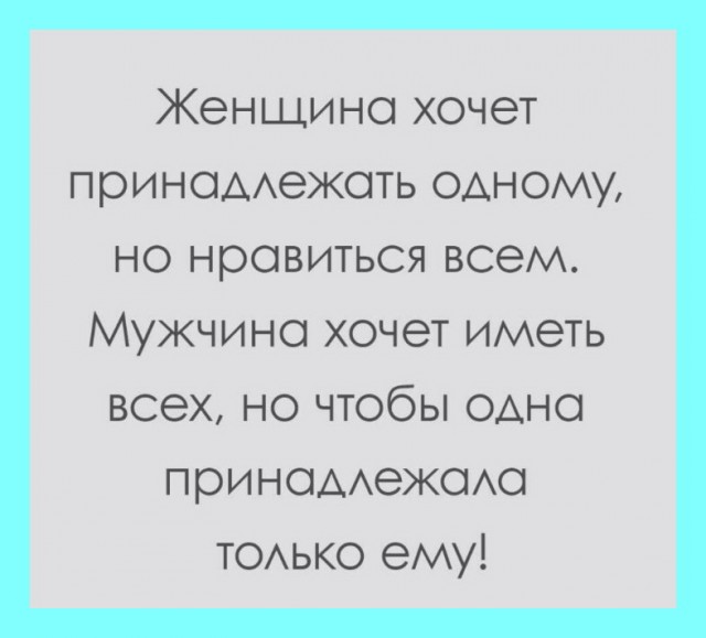 Веселые истории о нас №237