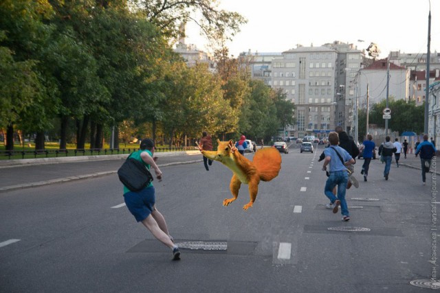 Фотожаба: Белка как бы говорит нам...